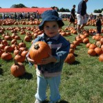 pumpkin picking